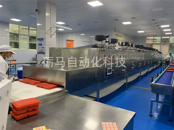 网带输送线
